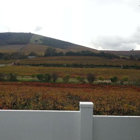 D'Aria Guest Cottages Durbanville Kültér fotó