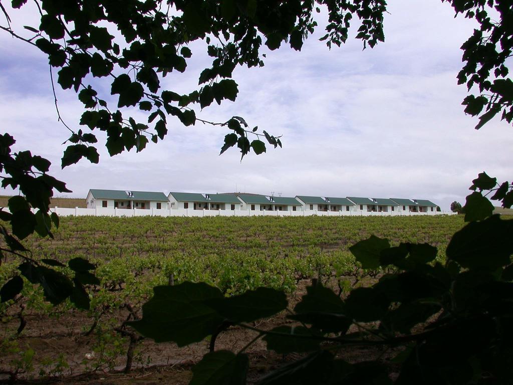 D'Aria Guest Cottages Durbanville Kültér fotó